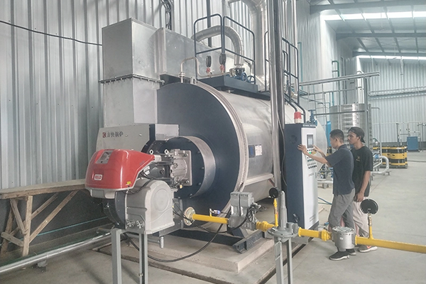 gas fired boiler